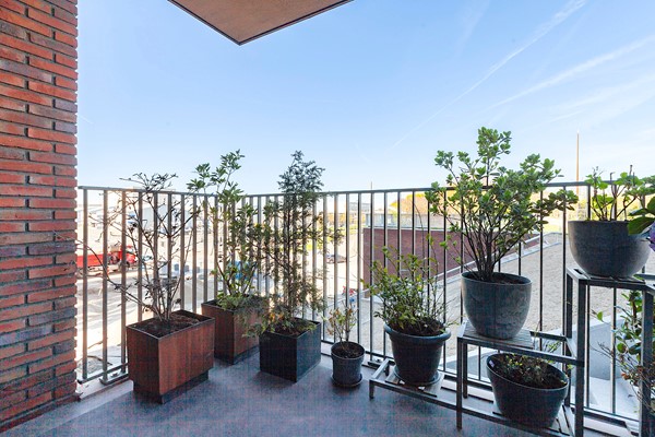 Huidenclubplein 106_26.jpg